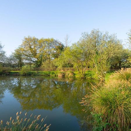 Our Goldfinch 1- Sleeps 2 Persons- Private Hot Tub-Pet Friendly-Tranquil Holiday Away From It All Yet Not Far From St Austell- The Holiday Home Has One Bedroom, Living And Dining Area, Equipped Kitchen-Decking-Outdoor Furniture-Fishing Lakes And More Grampound Eksteriør bilde