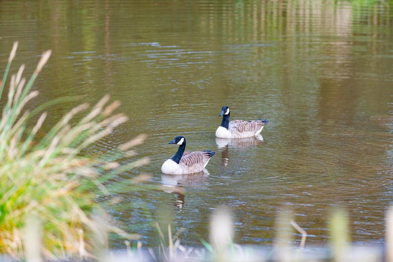 Our Goldfinch 1- Sleeps 2 Persons- Private Hot Tub-Pet Friendly-Tranquil Holiday Away From It All Yet Not Far From St Austell- The Holiday Home Has One Bedroom, Living And Dining Area, Equipped Kitchen-Decking-Outdoor Furniture-Fishing Lakes And More Grampound Eksteriør bilde